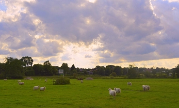 k-Hamfelde38.JPG