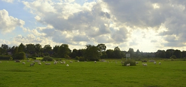 k-Hamfelde39.JPG
