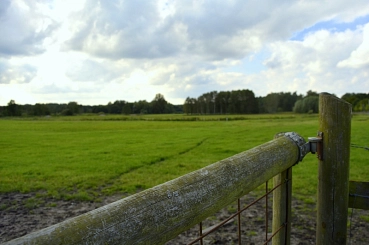 k-Hamfelde40.JPG